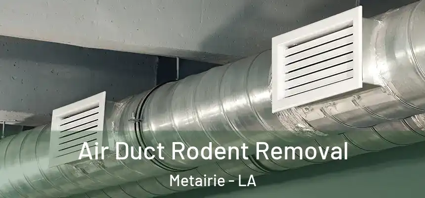  Air Duct Rodent Removal Metairie - LA