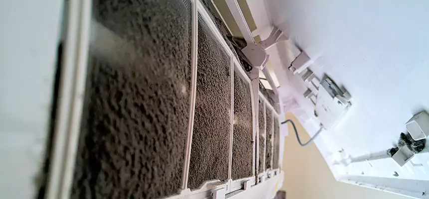 Preventive Air Duct Bacteria Removal in Metairie