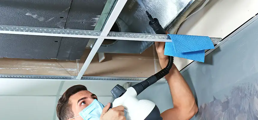 Our Air Duct Rodent Removal Services in Metairie, LA