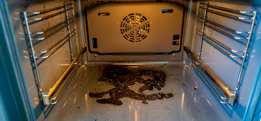 Our Dryer Vent Mold Cleaning Services in Metairie, LA