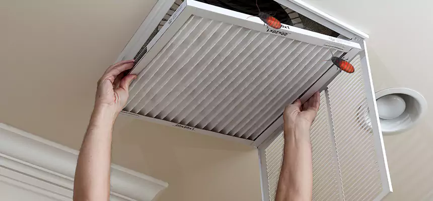 Our Insect Removal from Air Ducts Services in Metairie, LA