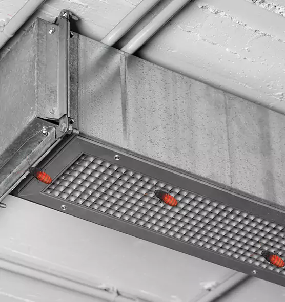 Affordable Insect Removal from Air Ducts in Metairie, LA