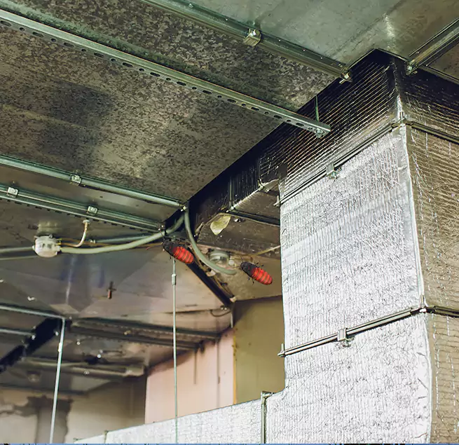 Why Homeowners & Businesses Trust Us in Metairie, LA?