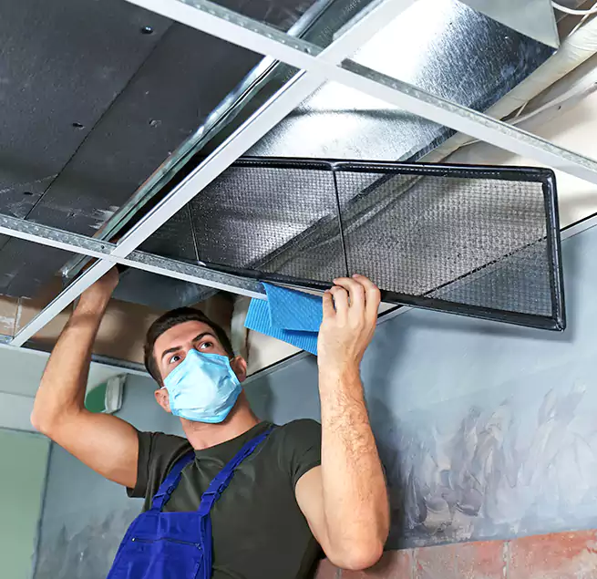 Why Homeowners Businesses Trust Us in Metairie, LA