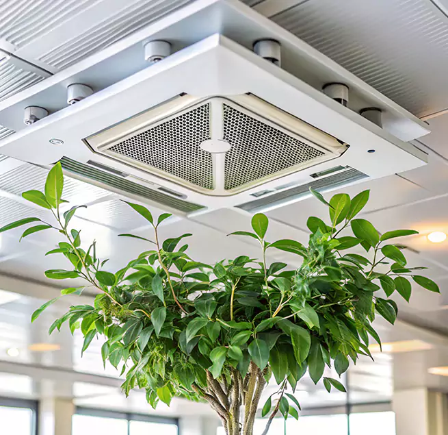 Why Homeowners & Businesses Trust Us in Metairie, LA